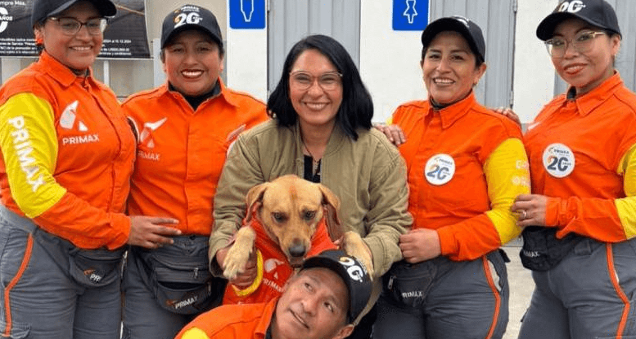 Una campaña con corazón: Primax y WUF se unen para dar una segunda oportunidad a las mascotas sin hogar
